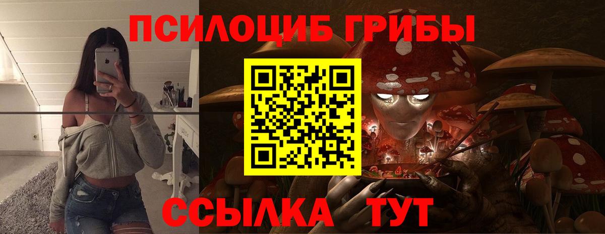 Псилоцибиновые грибы Cubensis Ивантеевка